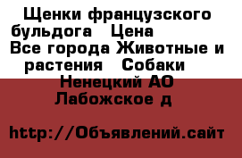 Щенки французского бульдога › Цена ­ 30 000 - Все города Животные и растения » Собаки   . Ненецкий АО,Лабожское д.